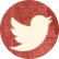 Lupe Tortilla twitter