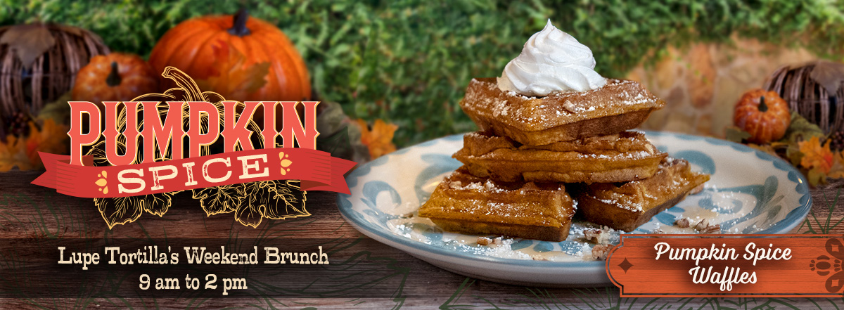 Pumpkin Spice Waffles at Lupe Tortilla